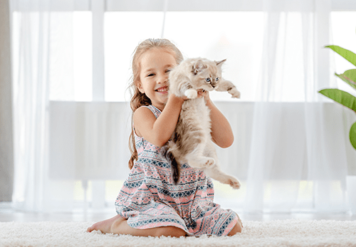 Umziehen mit Kindern und Katze